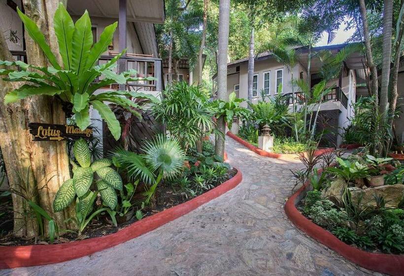 高级园景房, Samed Villa Resort