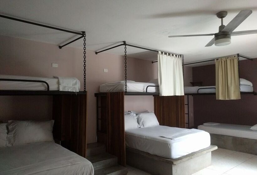 اتاق لوکس, Pachamama Hotel Hostel