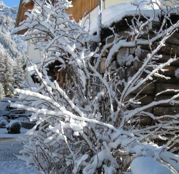 Номер Superior, Borest