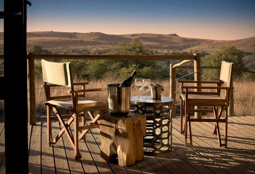 סוויטה, Cradle Boutique