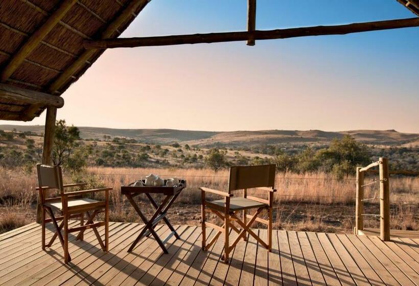 חדר אקזקיוטיב, Cradle Boutique