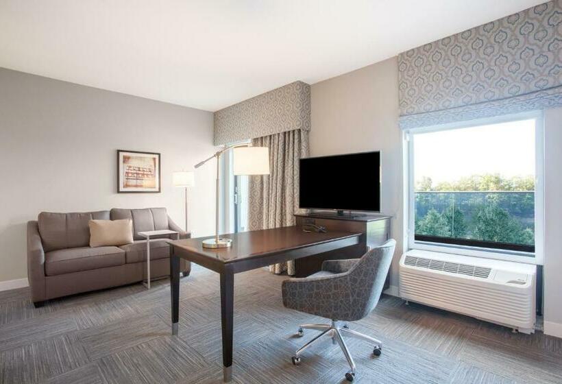 סטודיו סטנדרט, מיטה זוגית, Hampton Inn Rochester Penfield