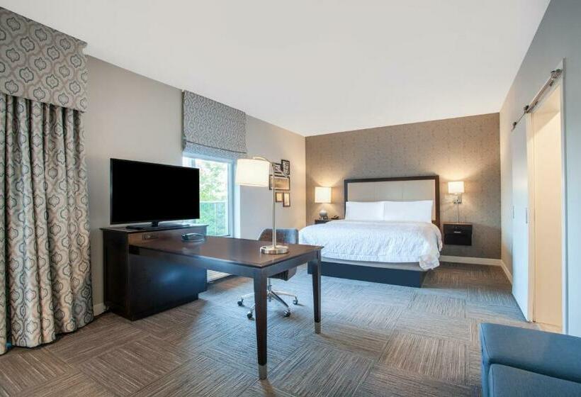 סטודיו סטנדרט, מיטה זוגית, Hampton Inn Rochester Penfield