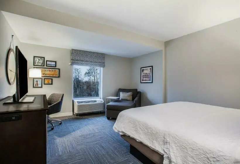 Standard-huone King-vuode, Hampton Inn Rochester Penfield