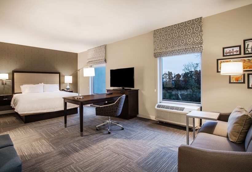 סטודיו סטנדרט מיטה זוגית, Hampton Inn Rochester Penfield