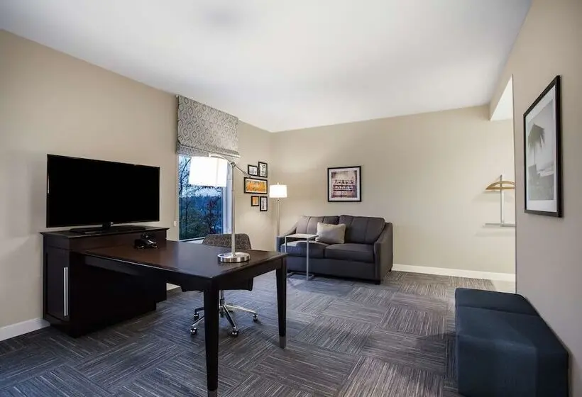 Standard-studio Parivuode, Hampton Inn Rochester Penfield