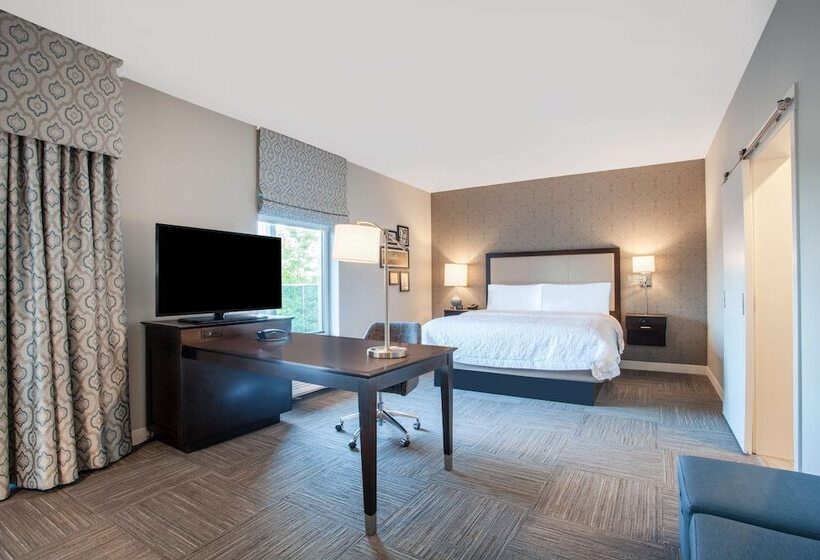 סטודיו סטנדרט מיטה זוגית, Hampton Inn Rochester Penfield