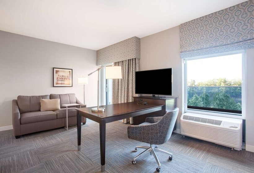 סטודיו סטנדרט מיטה זוגית, Hampton Inn Rochester Penfield