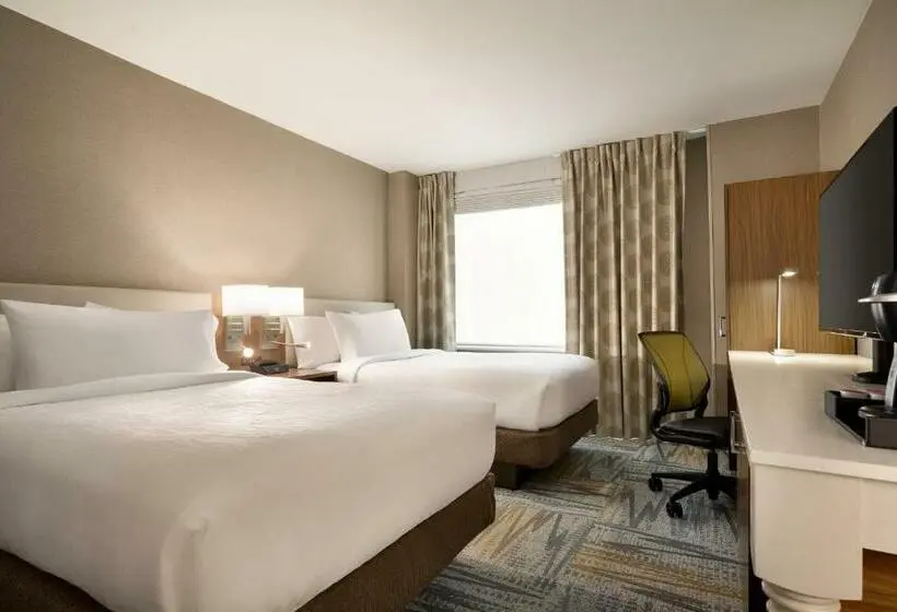 اتاق استاندارد با 2 تخت دوبل, Hilton Garden Inn New York Times Square South