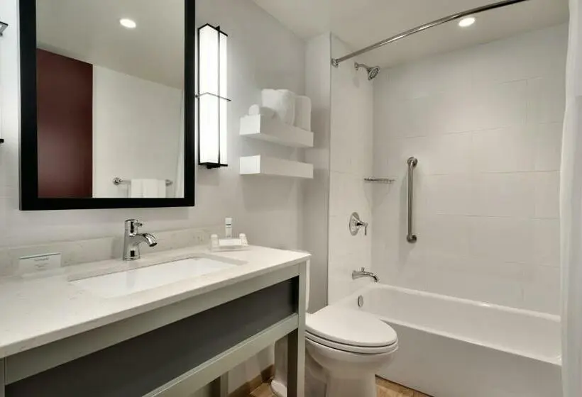 اتاق استاندارد با 2 تخت دوبل, Hilton Garden Inn New York Times Square South