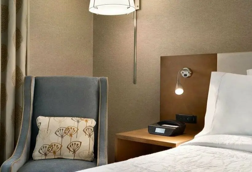 اتاق استاندارد با تخت دوبل, Hilton Garden Inn New York Times Square South