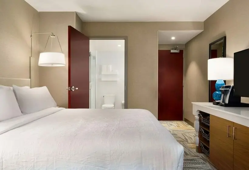 اتاق استاندارد با تخت دوبل, Hilton Garden Inn New York Times Square South