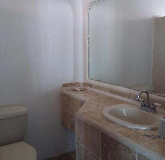 جناح, Delphinus Inn