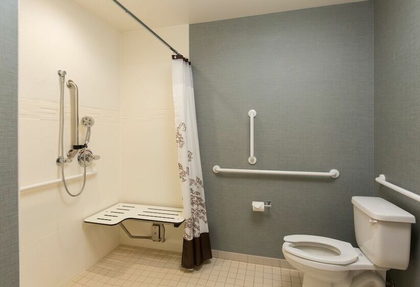 套房, Residence Inn By Marriott Denver Central Park