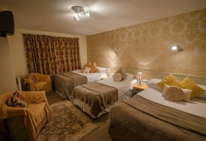 Basic Neljän Hengen Huone, Killarney View House B&b