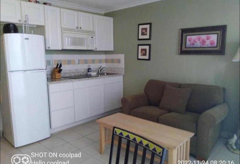 شقة غرفة واحدة مطلة على البحر, Daytona Beach   Condo Ocean Front View