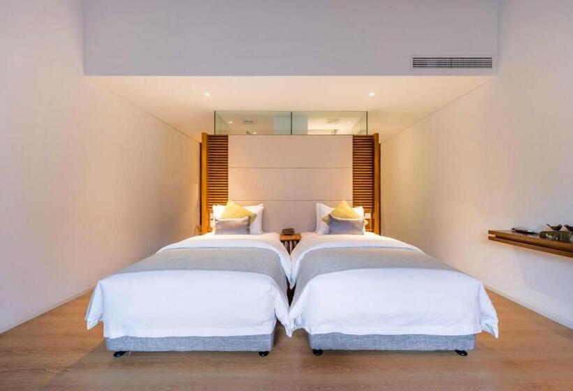 חדר סופריור, Jiuhua Mountain Demaotang