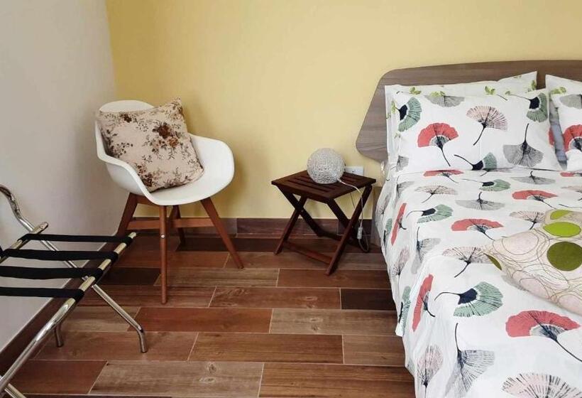 Номер Стандарт, B&b Salvo E Terry