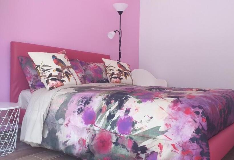 Номер Стандарт, B&b Salvo E Terry