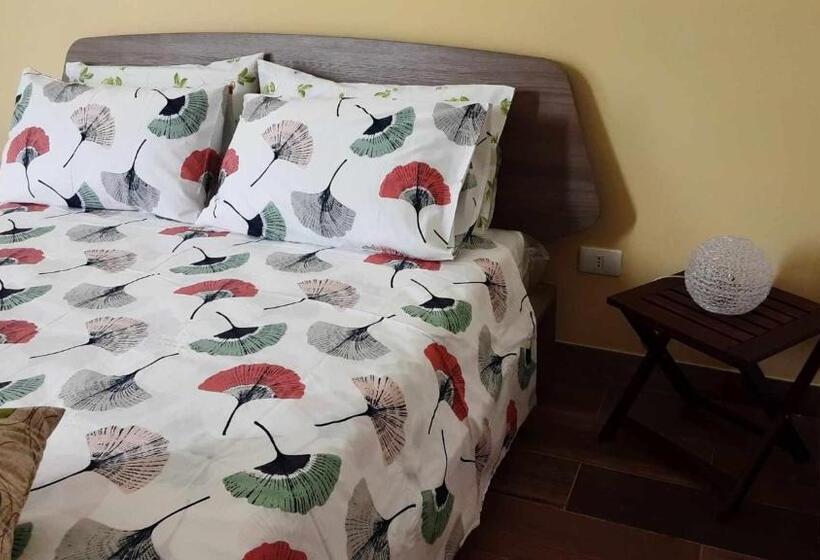 Номер Стандарт, B&b Salvo E Terry