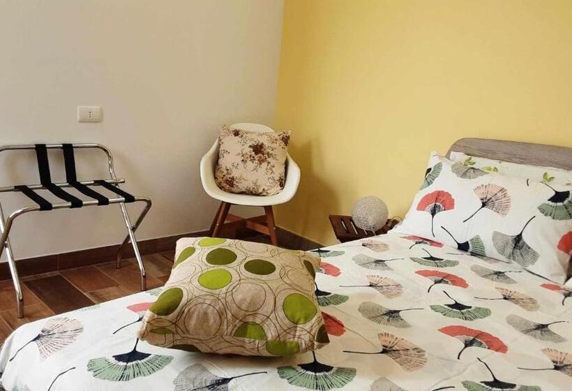 Номер Стандарт, B&b Salvo E Terry