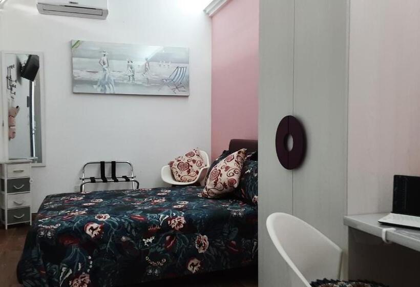 Номер Стандарт, B&b Salvo E Terry