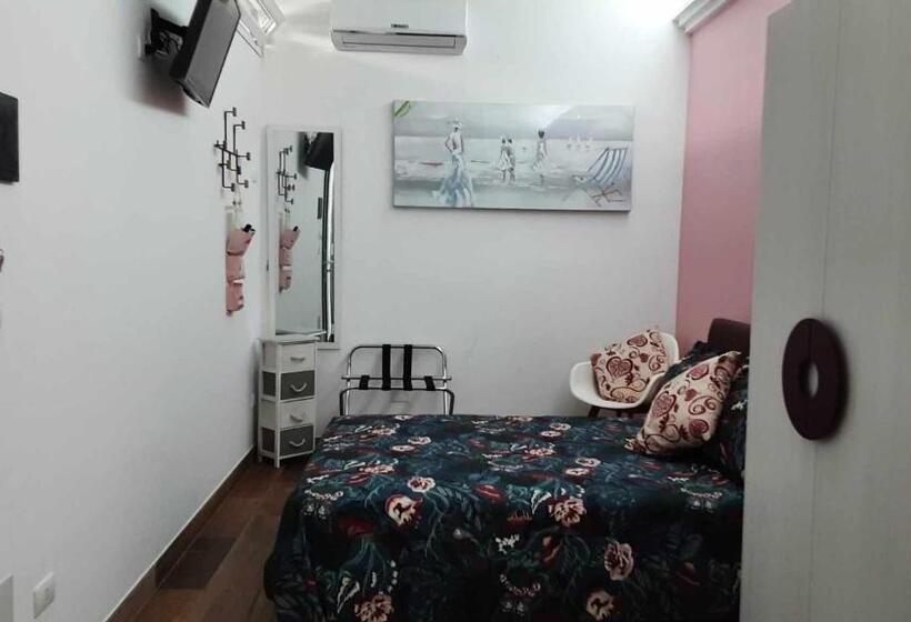 Номер Стандарт, B&b Salvo E Terry