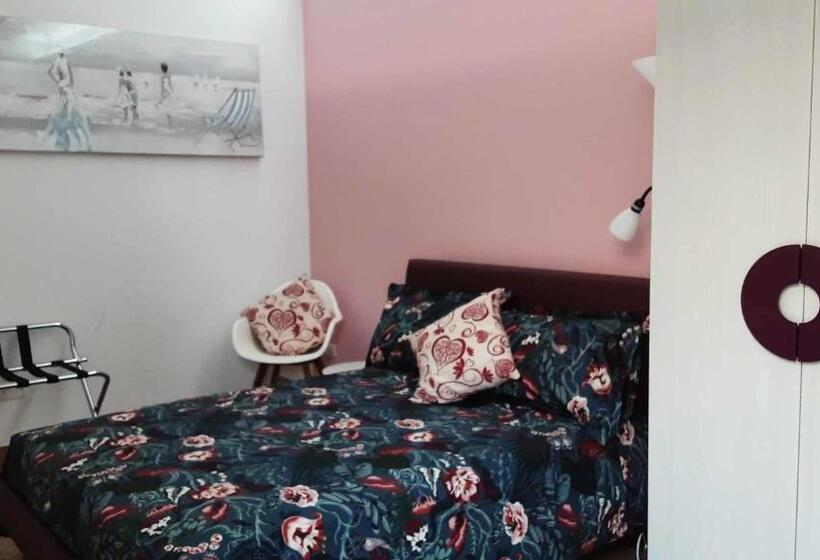 Номер Стандарт, B&b Salvo E Terry