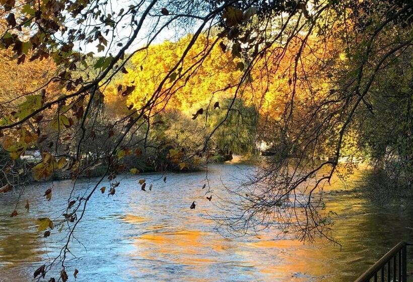 חדר סטנדרט נוף לבריכה, Brossard