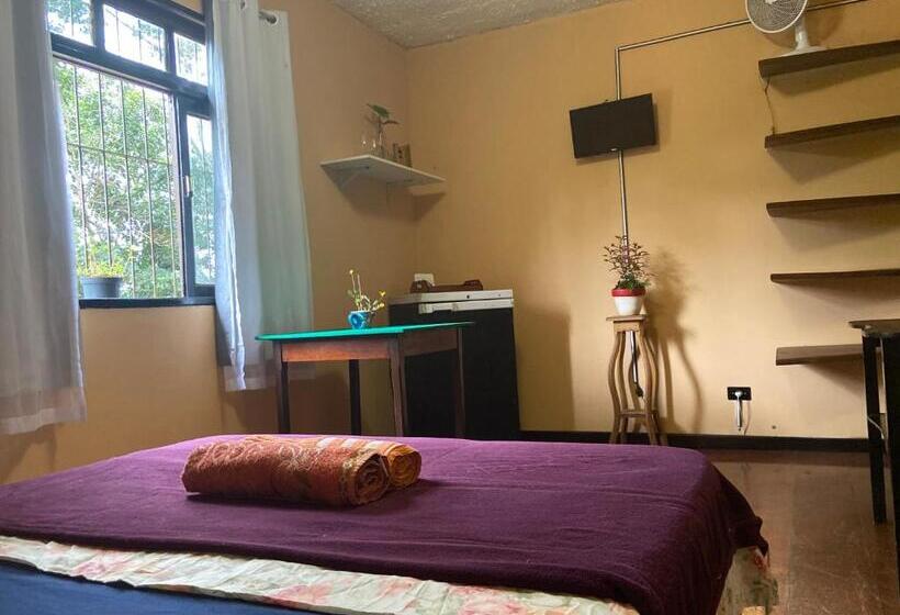 标准房带园景, Eco Alto Do Sol