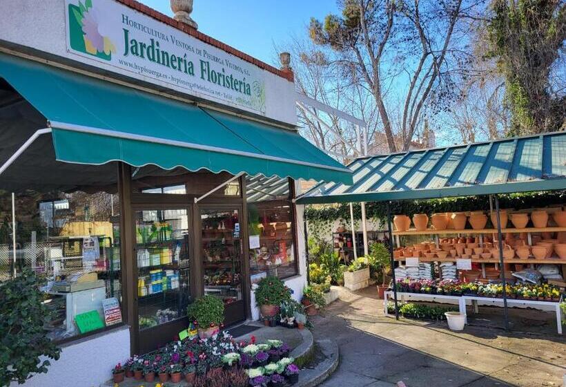 اتاق استاندارد, Suki House Chalet 1