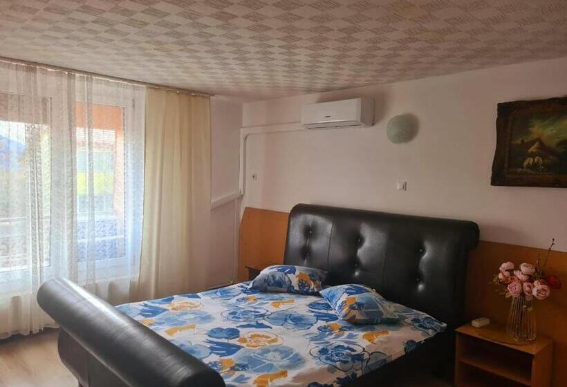 Номер Стандарт, Pensiunea King