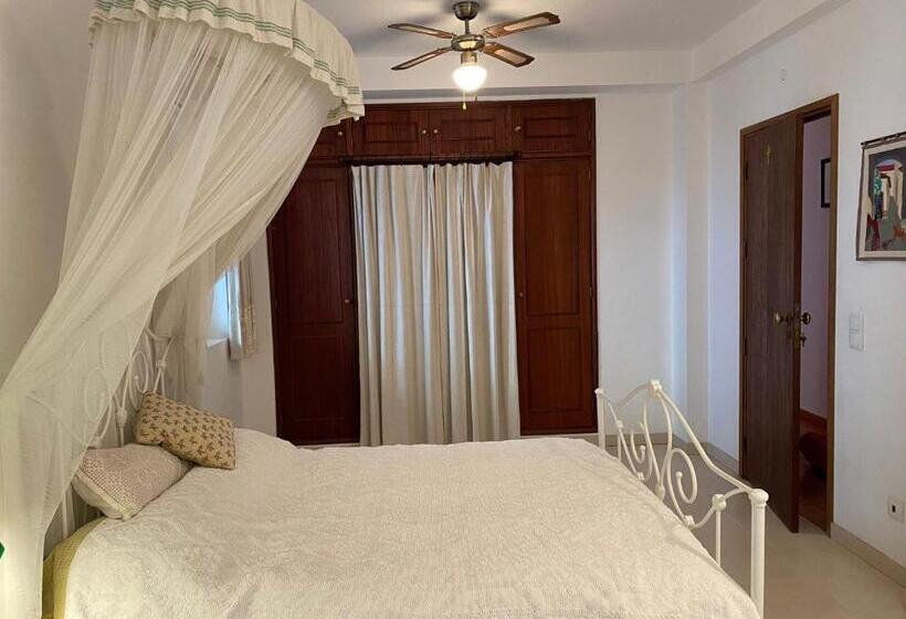 غرفة قياسية, Corgos Flores