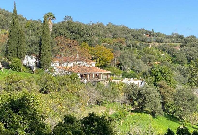 غرفة قياسية مزوَّدة بتراس, Corgos Flores