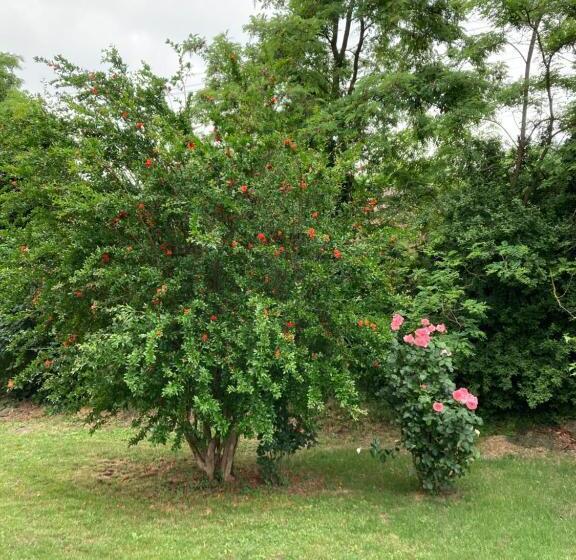 اتاق استاندارد, Maison Country B&b