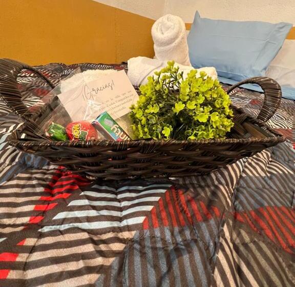 اتاق ساده سه‌ نفره, Casa Del Viajero Antigua