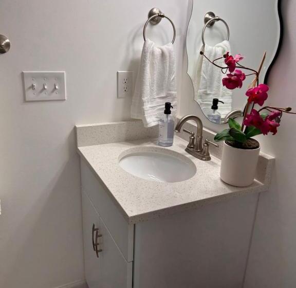 חדר דלוקס, Luxurious Basement Guest Suite In Elkridge