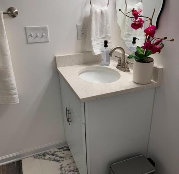 חדר דלוקס, Luxurious Basement Guest Suite In Elkridge