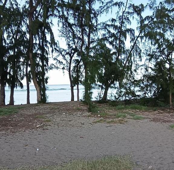 اتاق استاندارد, Chambre Vue Sur Mer