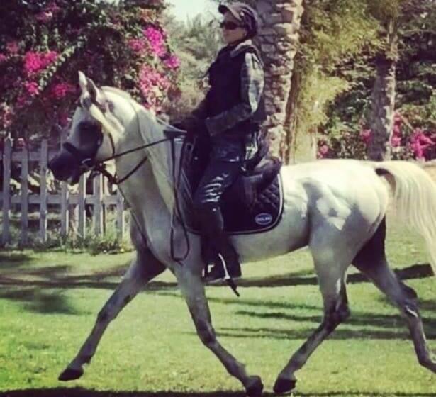 استودیوی استاندارد, Family House بيت العيلة