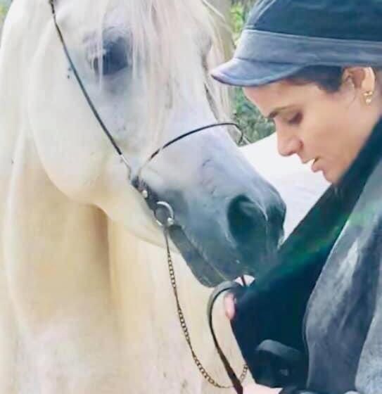 استودیوی استاندارد, Family House بيت العيلة