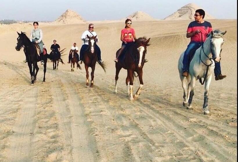 استودیوی استاندارد, Family House بيت العيلة