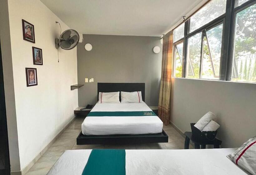 수피리어 패밀리 룸, Casa Botero Medellín