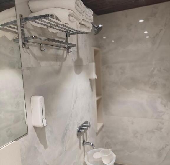 غرفة عائلية, Kiara Shirdi Park Inn