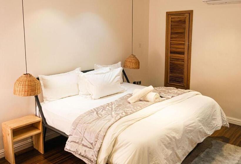 استودیوی استاندارد, Ulo Lagos