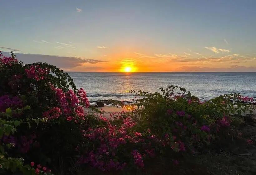 海の見える1ベッドルームアパートメント, Kepuhi Sunset Ocean View Ground Floor Unit By Wrinkly Sheets, Llc