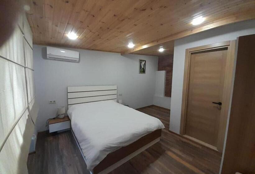 اتاق استاندارد سه تخته با بالکن, Aragvi