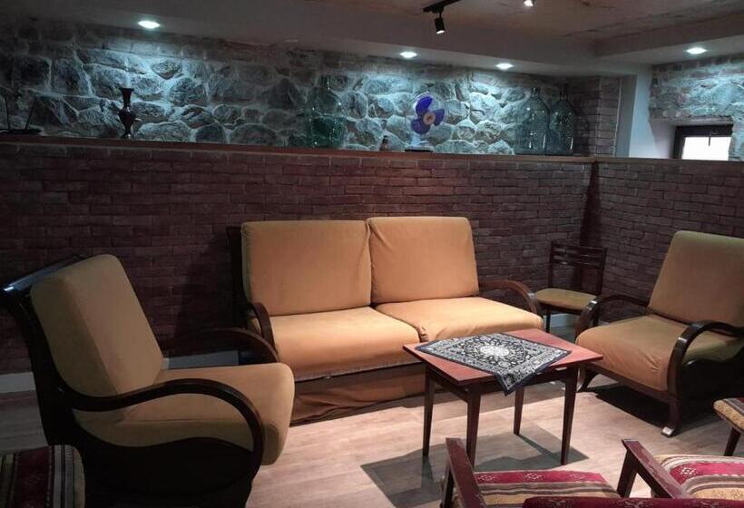 اتاق اکونومی, Aragvi