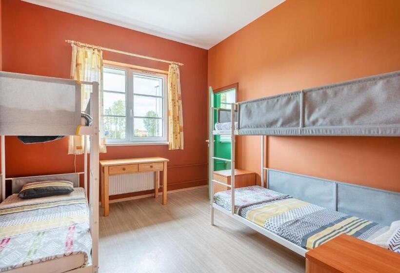 اتاق استاندارد چهار تخته, Staicele   Learning And Training Hub