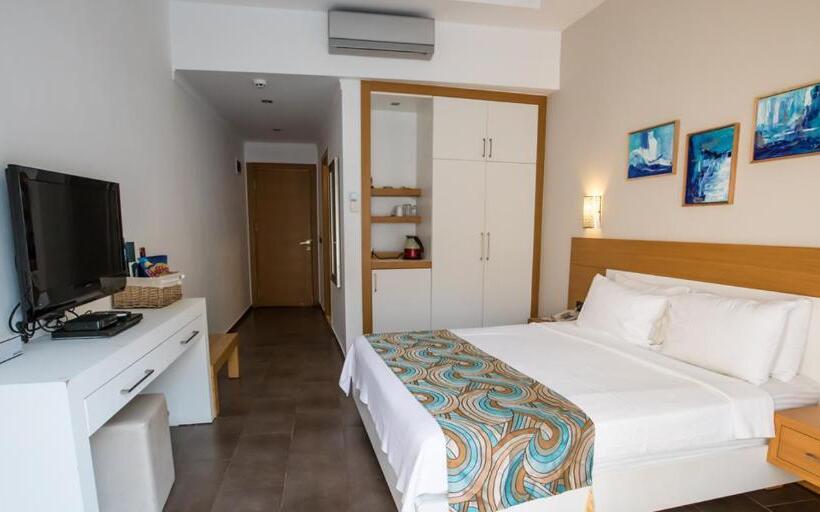 اتاق استاندارد یک نفره, Vip Airport